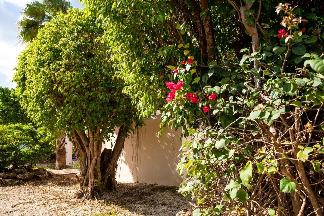 Hamlet Oasis Resort كراليندايك المظهر الخارجي الصورة