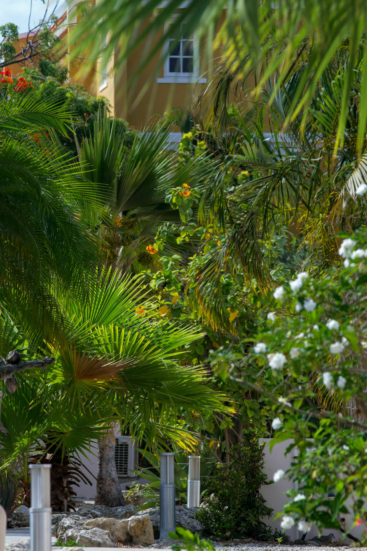 Hamlet Oasis Resort كراليندايك المظهر الخارجي الصورة