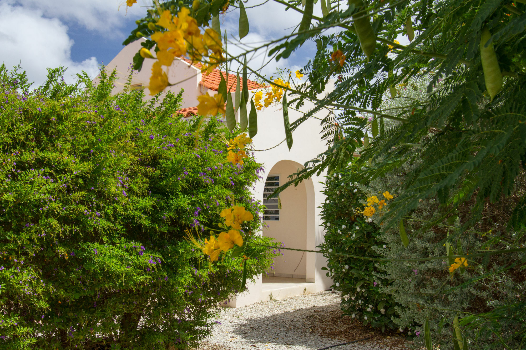 Hamlet Oasis Resort كراليندايك المظهر الخارجي الصورة